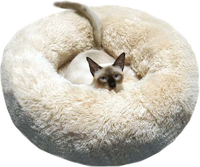 Authentic BODISEINT Modern Soft Plush Round Pet Bed for Cats or Small Dogs Mini Medium Sized Dog Cat Bed Self Warming Autumn Winter Indoor Snooze Sleeping Cozy Kitty Teddy Kennel 24” D x 8” H Champagne About ThisOverview Luxury