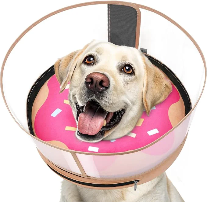 Superior Inflatable Dog Cone with Transparent Shield Protective Dog Donut Collar After Traditional