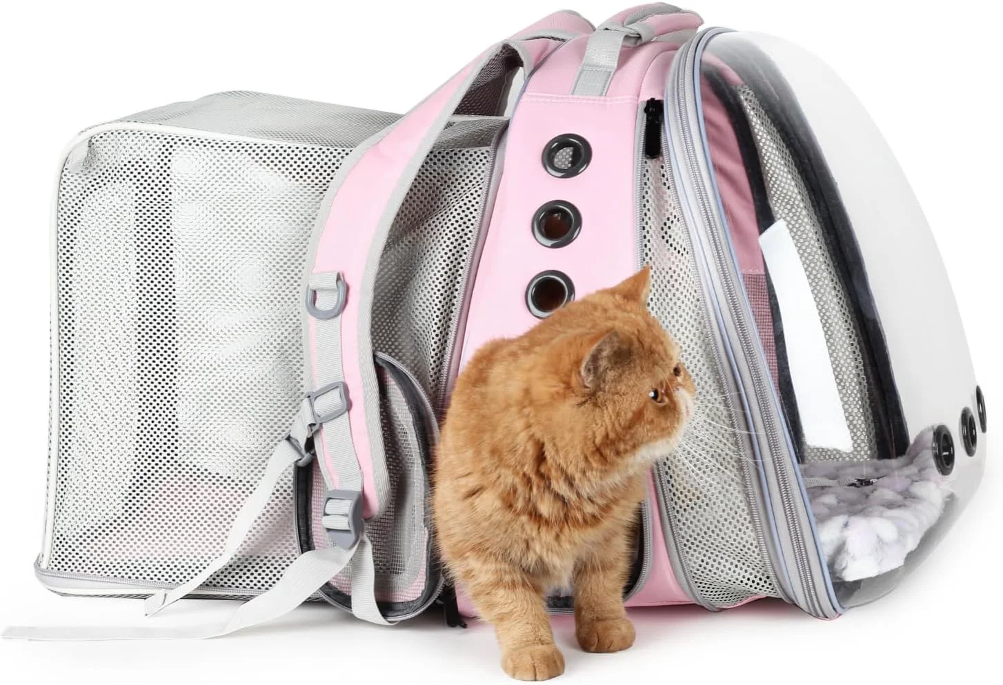 Certified Lollimeow Cat Carrier Backpack Bubble Dual Expandable Backpack Carrier Pets and Small Dogs Airline- Designed for Travel Hiking Walking Outdoor Use Dual Expandable-Pink Responsible