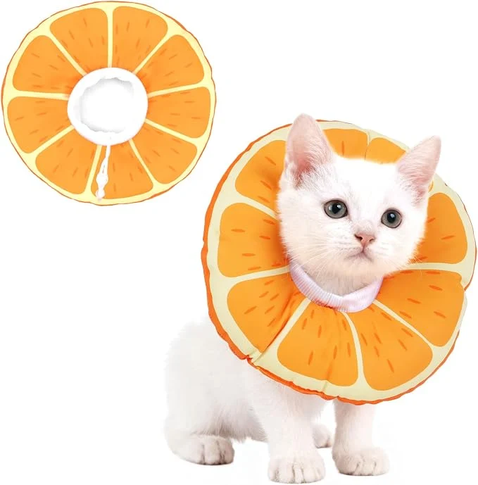 Versatile Cat Cone Collar Soft Waterproof Cat Recovery Collar Comfortable