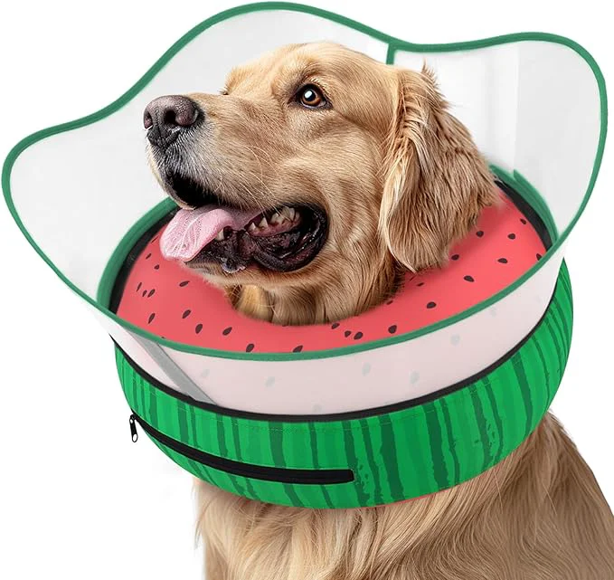 Comfortable Supet Raised Inflatable Dog Cone Collar to Stop Licking Soft Dog Cone Fine Crafted