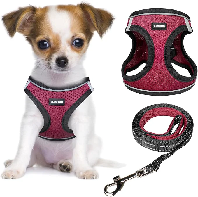 Stylish YIMEIS Dog Harness and Leash Set No Pull Soft Mesh Pet Harness Reflective Minimalist