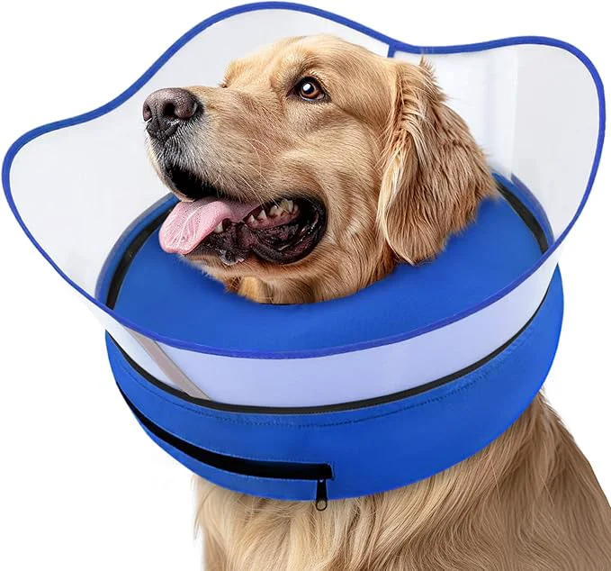 Proven Supet Raised Inflatable Dog Cone Collar to Stop Licking Soft Dog Cone Selected