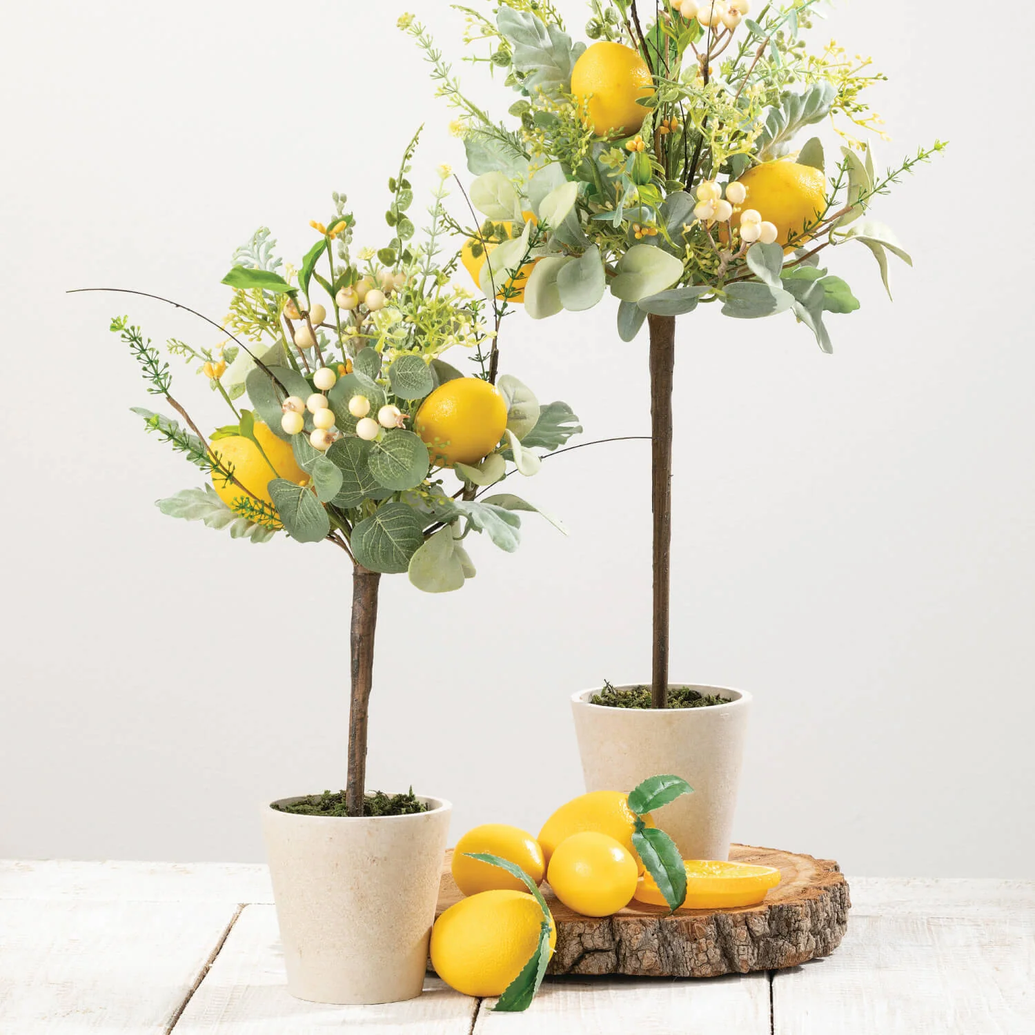 Proven Lemon Arrangement Topiary Contemporary