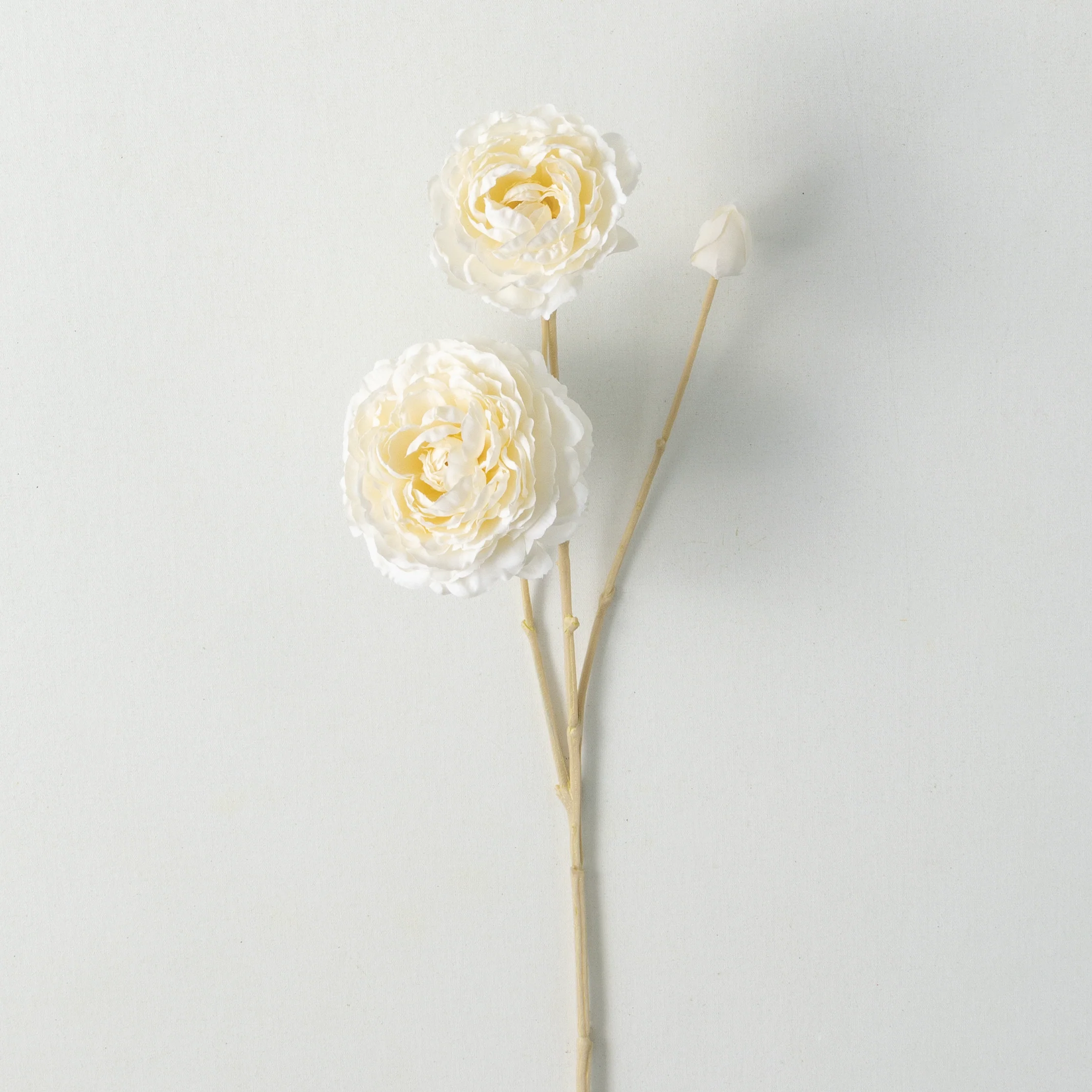 Traditional Cream Ranunculus Spray Easy-to-Use