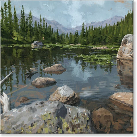Long-Lasting Rocky Shore Giclee Wall Art Fine