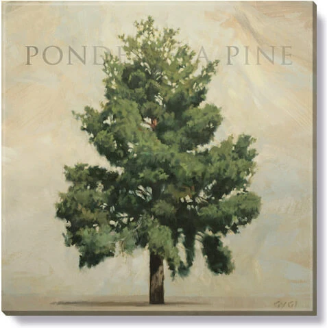 Detailed Ponderosa Pine Giclee Wall Art Exceptional