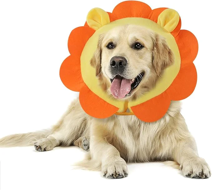 User-Friendly IEUUMLER Inflatable Recovery Dog Collar Protective Donut Cone Adjustable Soft Elite