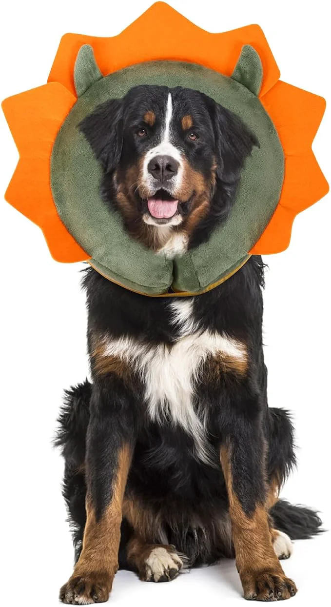 Top-Quality IEUUMLER Inflatable Recovery Dog Collar Protective Donut Cone Adjustable Soft Next-Generation