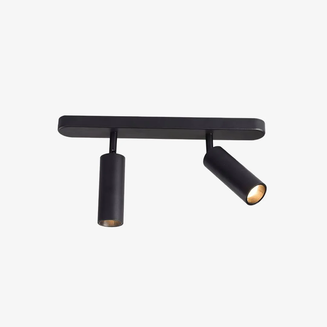 Selected Dual Head Track Downlight Lightweight