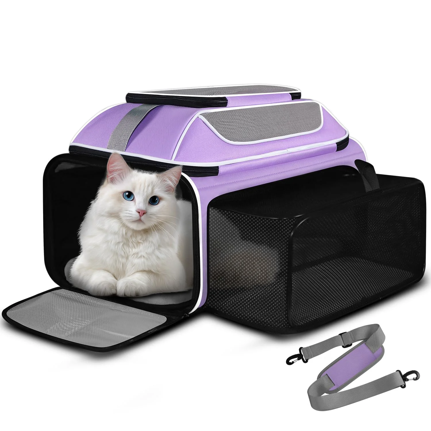 Elite Petskd Top Side Expandable Pet Carrier 19x13x9 in Purple – Airline for Small Dogs under 12 lbs Cats under 15 lbs Fashionable
