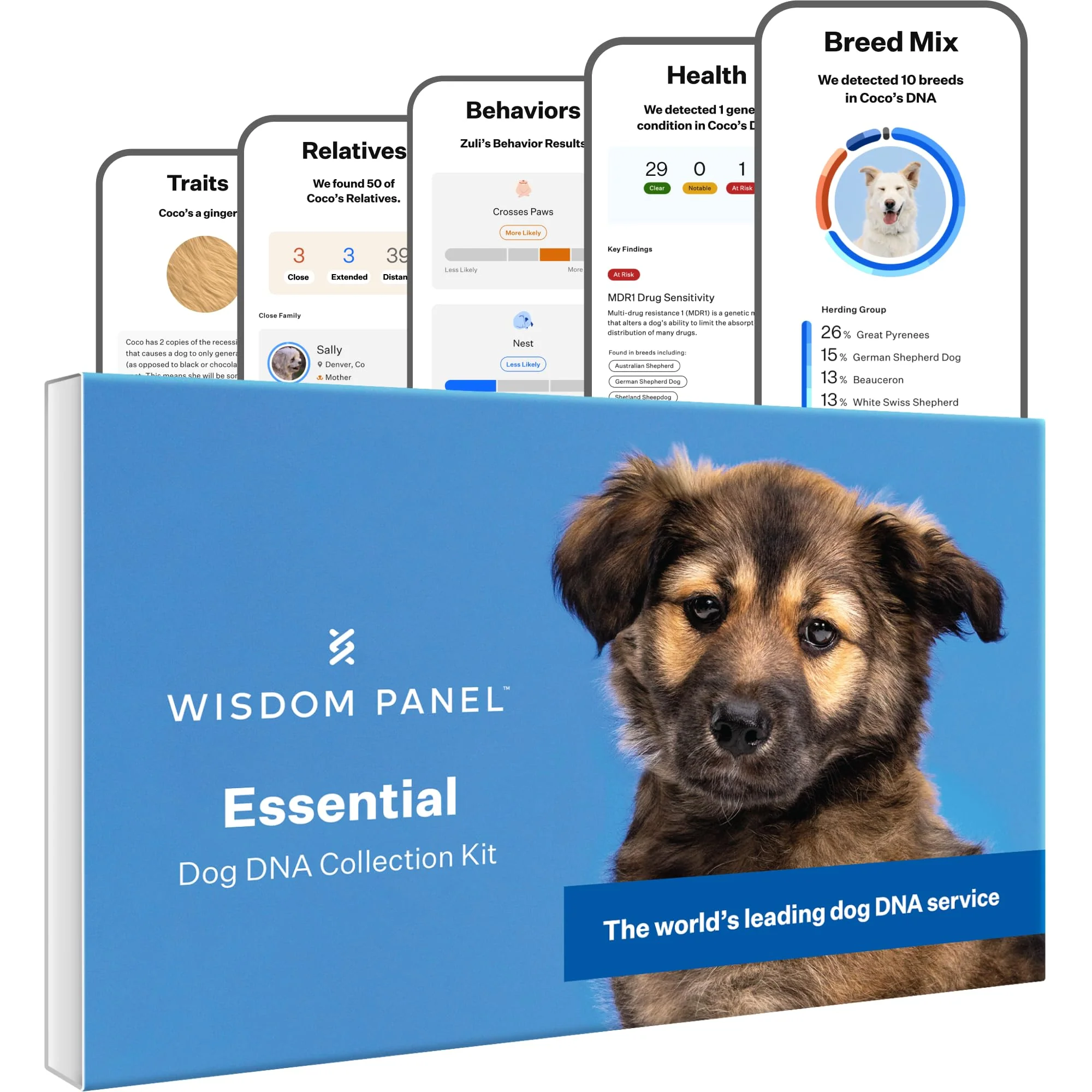 World-Class Wisdom Health Essential Dog DNA Kit 365 Breeds 30 Genetic Health Insights 50 Traits Pack of 1 Versatile