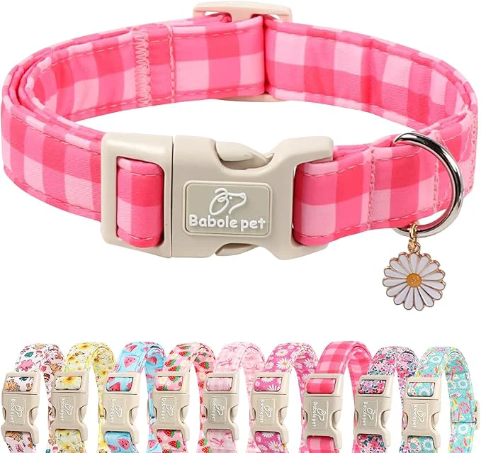 World-Class Girl Dog Collar for Giant Large Dogs Natural