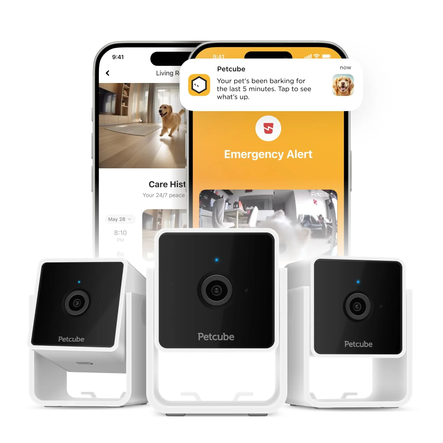 Pure Petcube Cam The Pack of 3 – Indoor Wi-Fi Pet Security Cameras 1080p HD 2-Way Audio Night Vision Clean