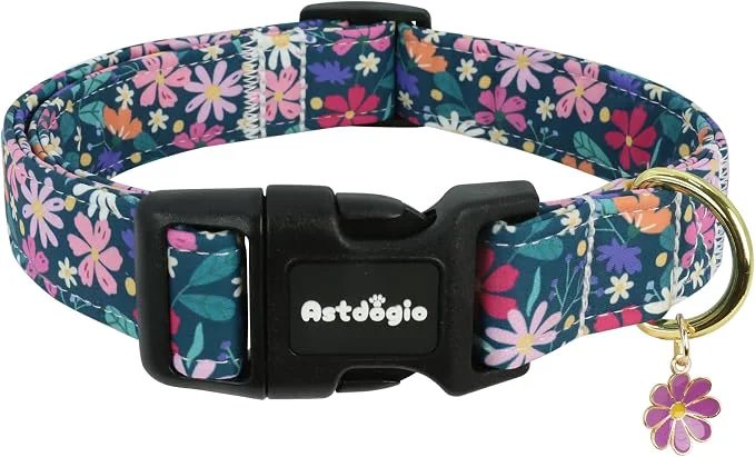 Exceptional Dog Collar for Medium Dogs Spring Dark Green Dog Collars Detailed