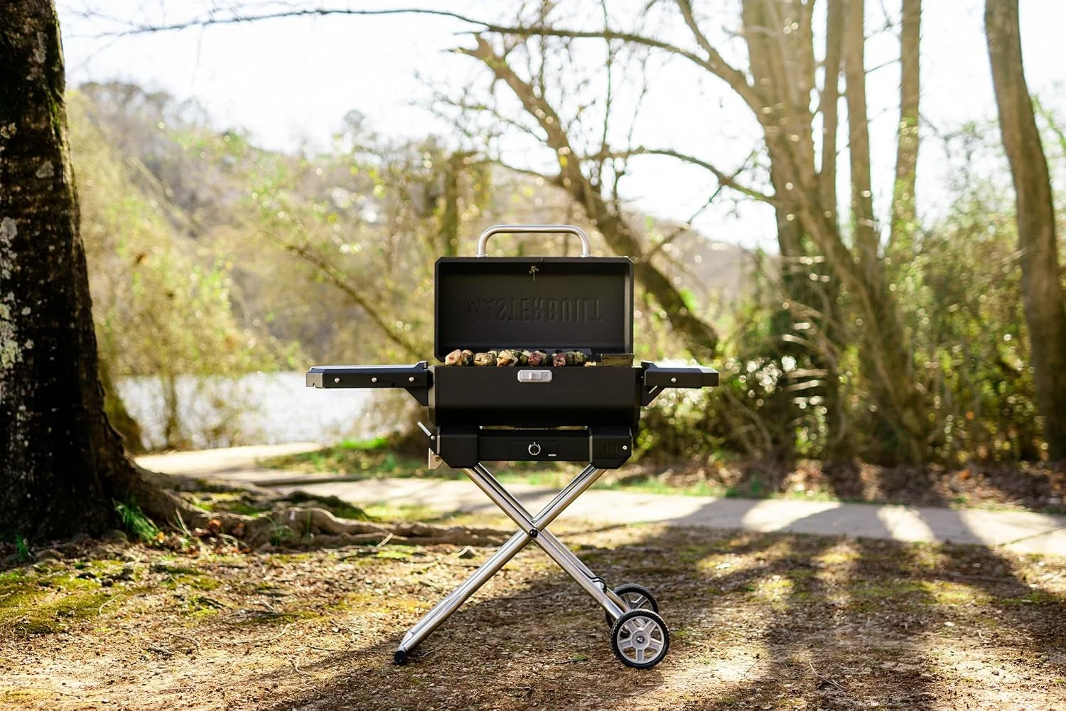 Healthy Portable Charcoal Grill Smoker With Analog Control Sustainable