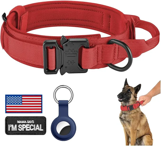 Relaxed DAGANXI Tactical Dog Collar Adjustable Military Training Nylon Dog Collar Carefully Designed