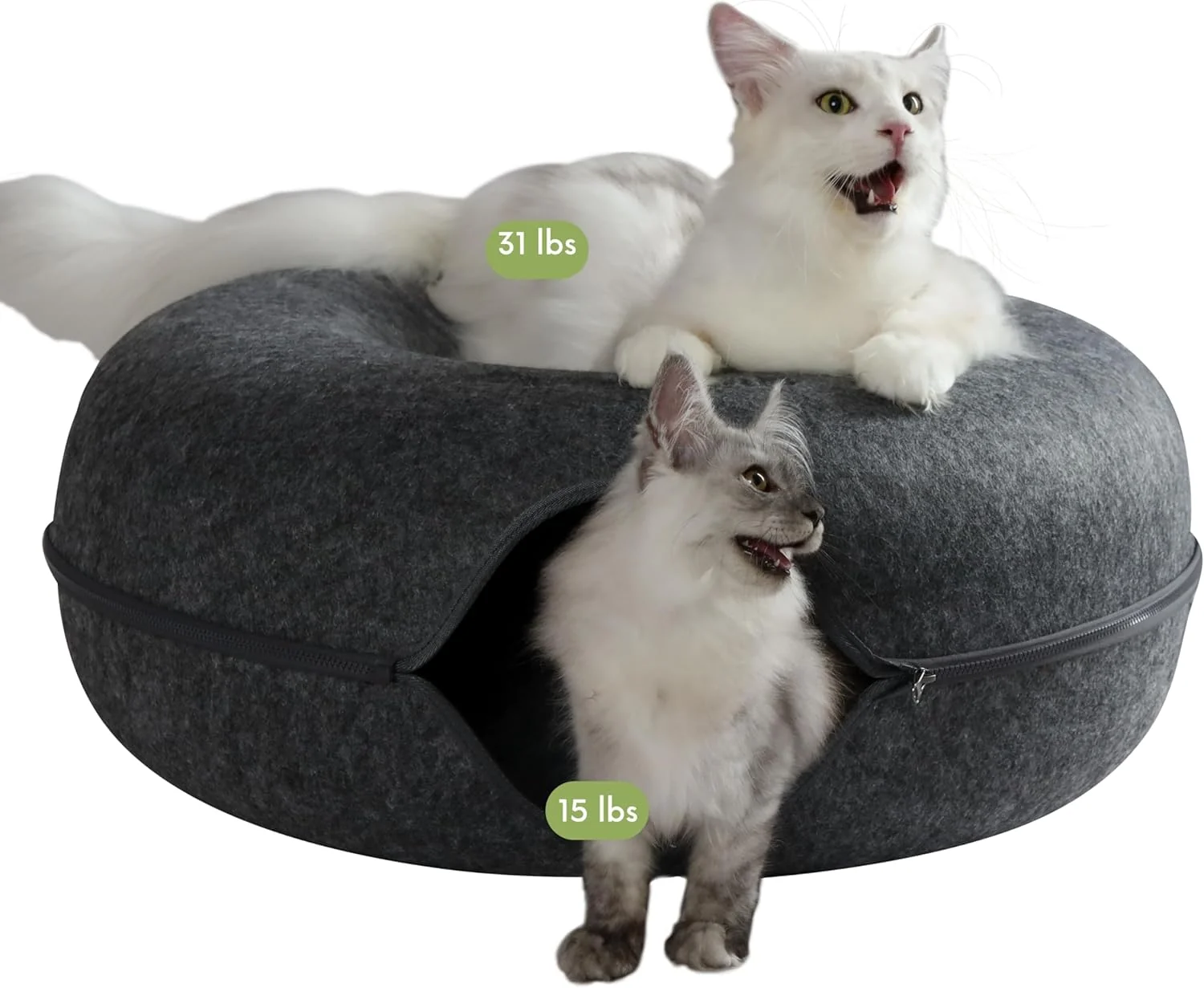 Flexible CATTASAURUS Peekaboo Cat Cave for Multiple Large Cats Up to 30-45 Lbs Scratch Detachable Washable Tunnel Bed Comfy Donut Cat Cave Dark Gray Jumbo Traditional