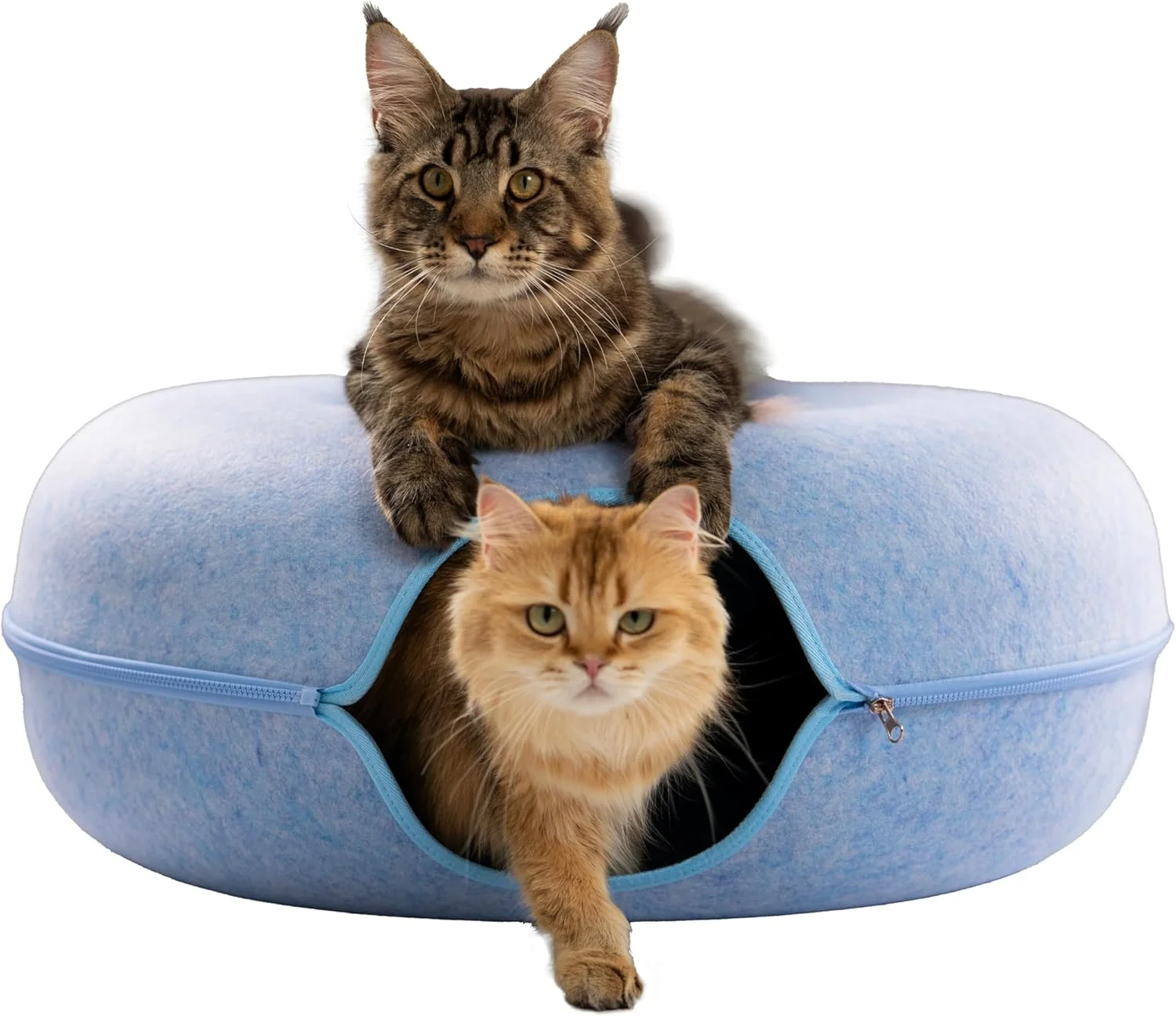 Sustainable Cattasaurus Peekaboo Cat Cave for Multiple Large Cats Up to 30-45 Lbs Scratch Detachable Washable Tunnel Bed Comfy Donut Cat Cave Blue Jumbo Recyclable