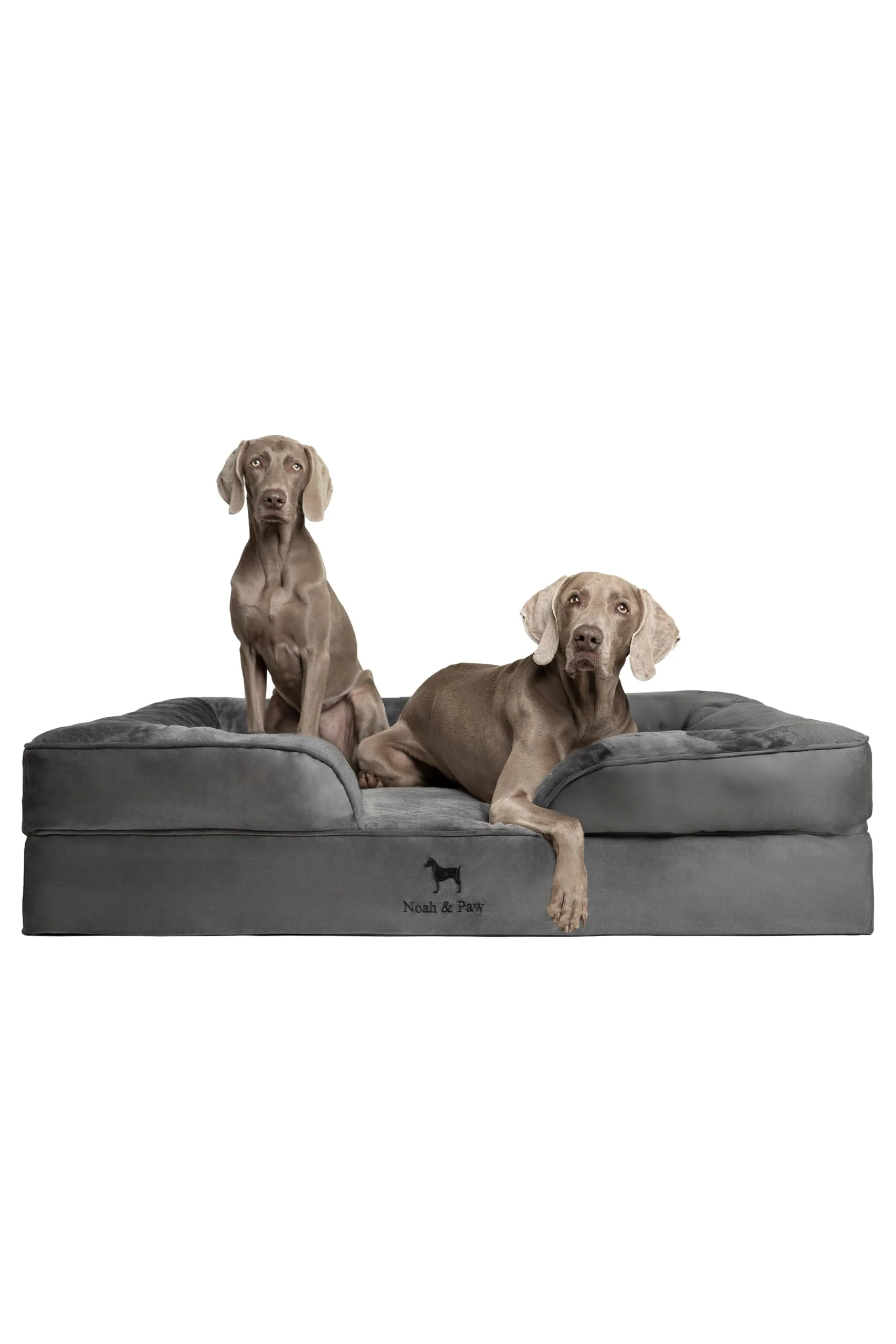 Sophisticated NOAH PAW Giant Dog Bed XXL 55x45x11 — Orthopedic Memory Foam Cooling Gel Functional