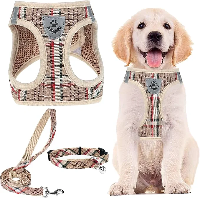Expertly Made PUPTECK Adjustable Dog Harness Collar and Leash Set Step in No Pull Pet Harness Organic