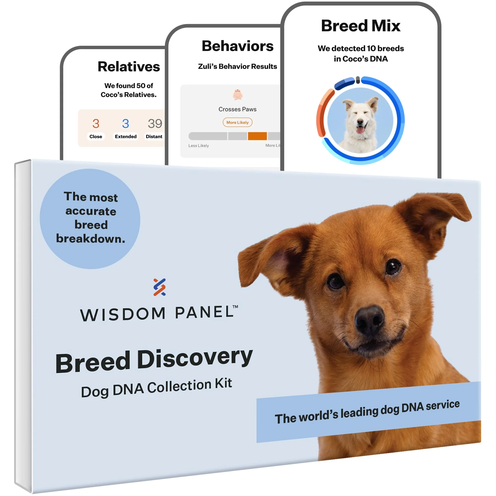 Versatile Wisdom Panel Breed Discovery Kit — 365 Dog Breeds MDR1 Ancestry Relatives Premium