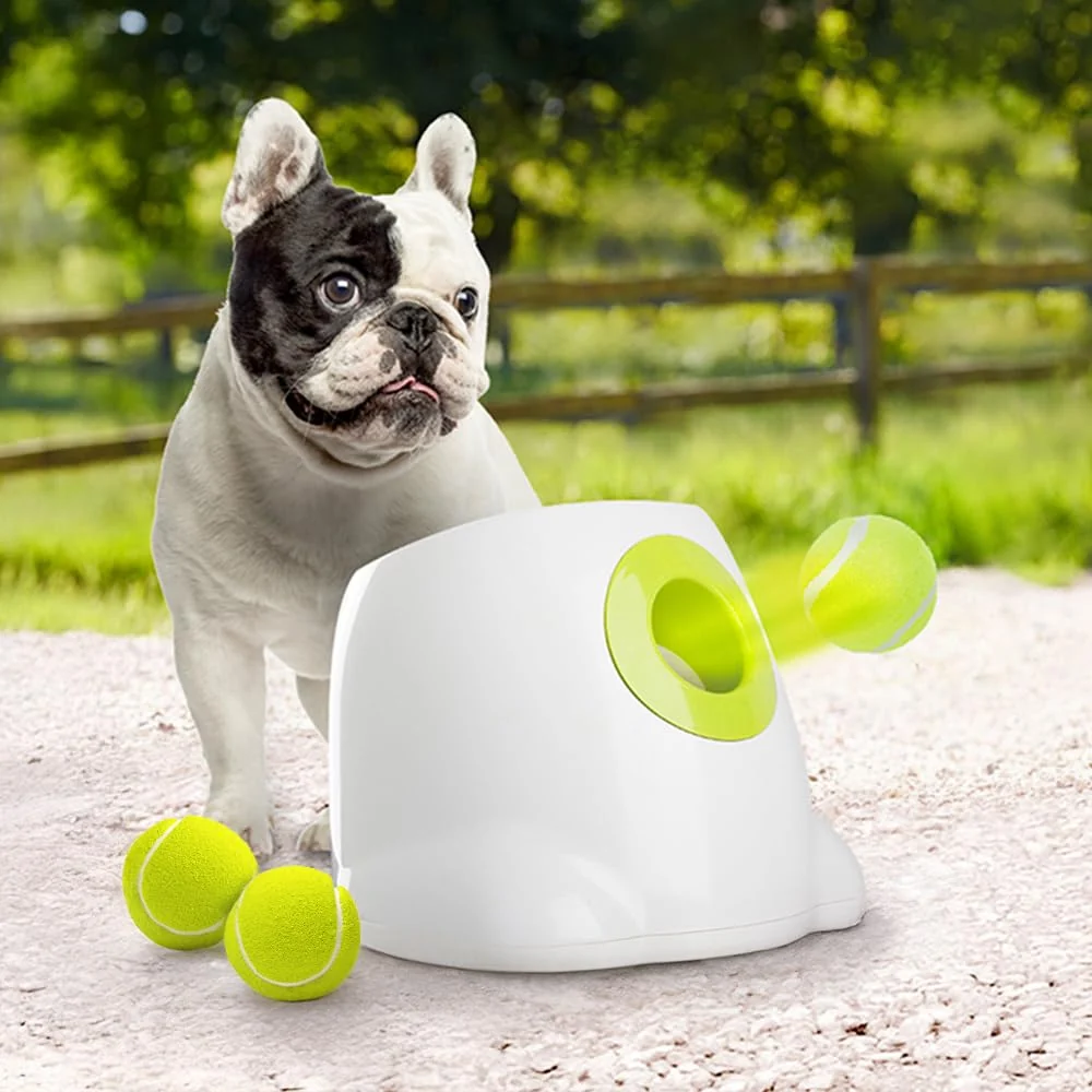 Fine ALL FOR PAWS Dog Automatic Ball Launcher for Small Medium Dogs Advanced