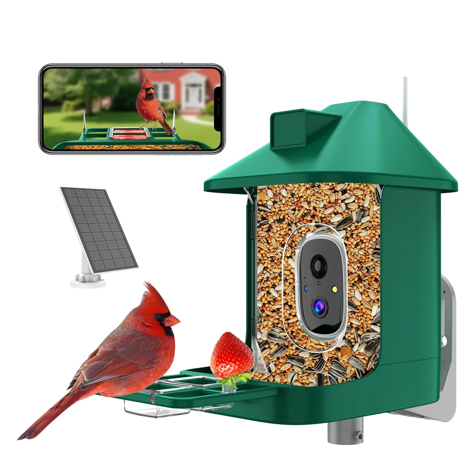 Optimized Vatjubi Bird Feeder Camera with AI ID 2K Live View Solar Outdoor Power Versatile