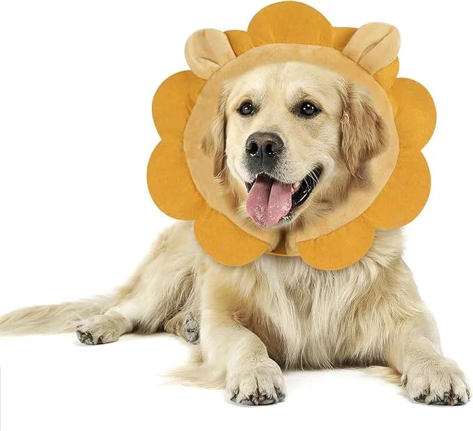 Reusable IEUUMLER Inflatable Recovery Dog Collar Protective Donut Cone Adjustable Soft Elegant