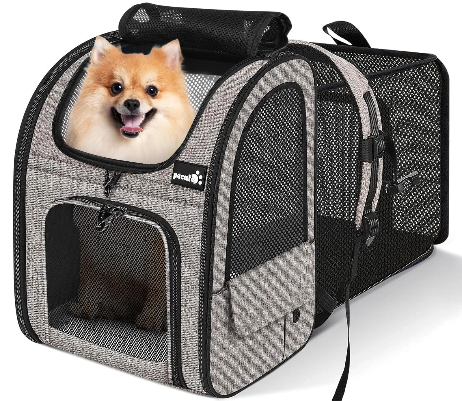 Top-Quality Pecute Pet Carrier Backpack – Expandable Breathable Cat Small Dog Backpack Khaki Healthy
