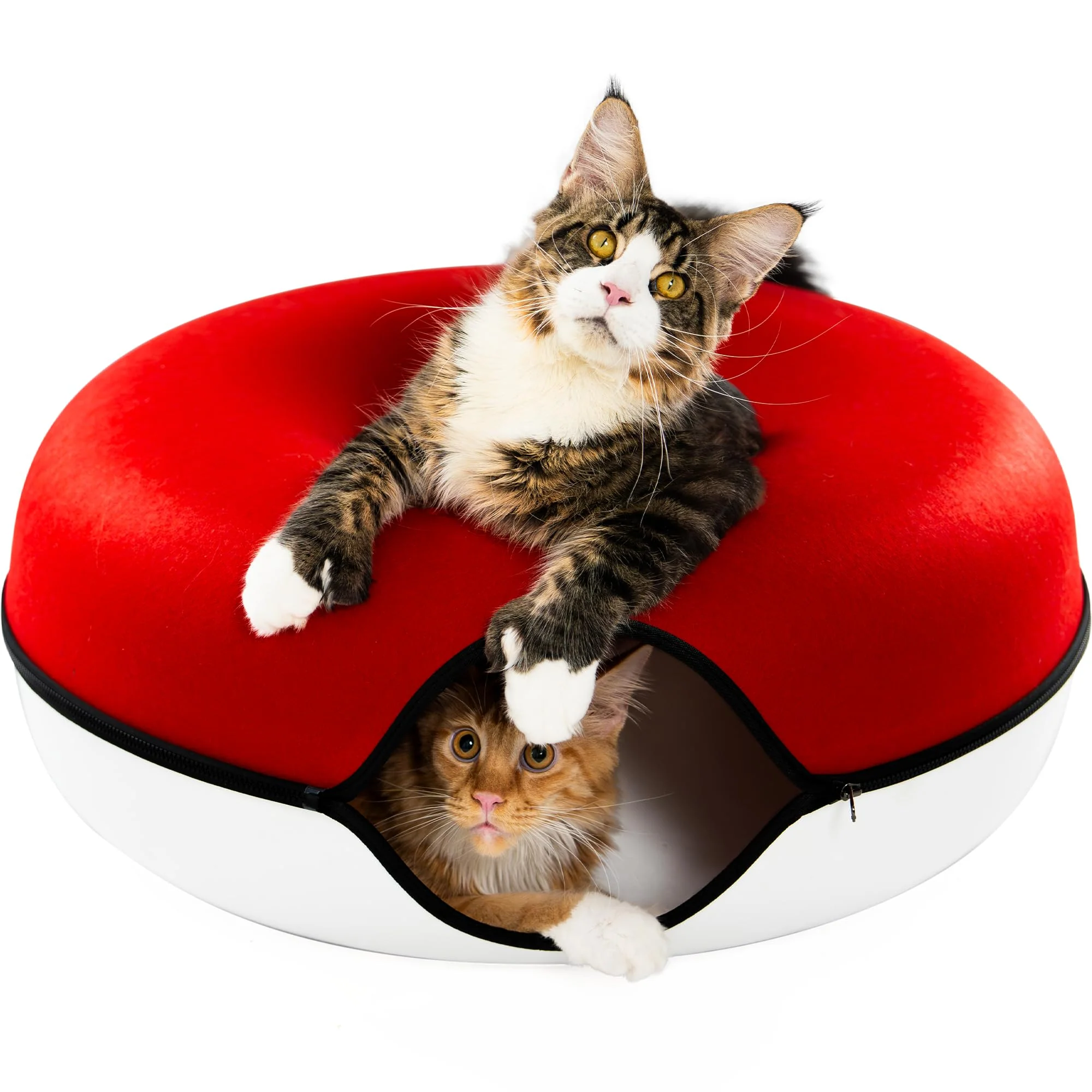Expertly Made Cattasaurus Peekaboo Cat Cave - Extra Spacious Donut Bed Tunnel for Large Cats Multi-Pet Homes Recyclable