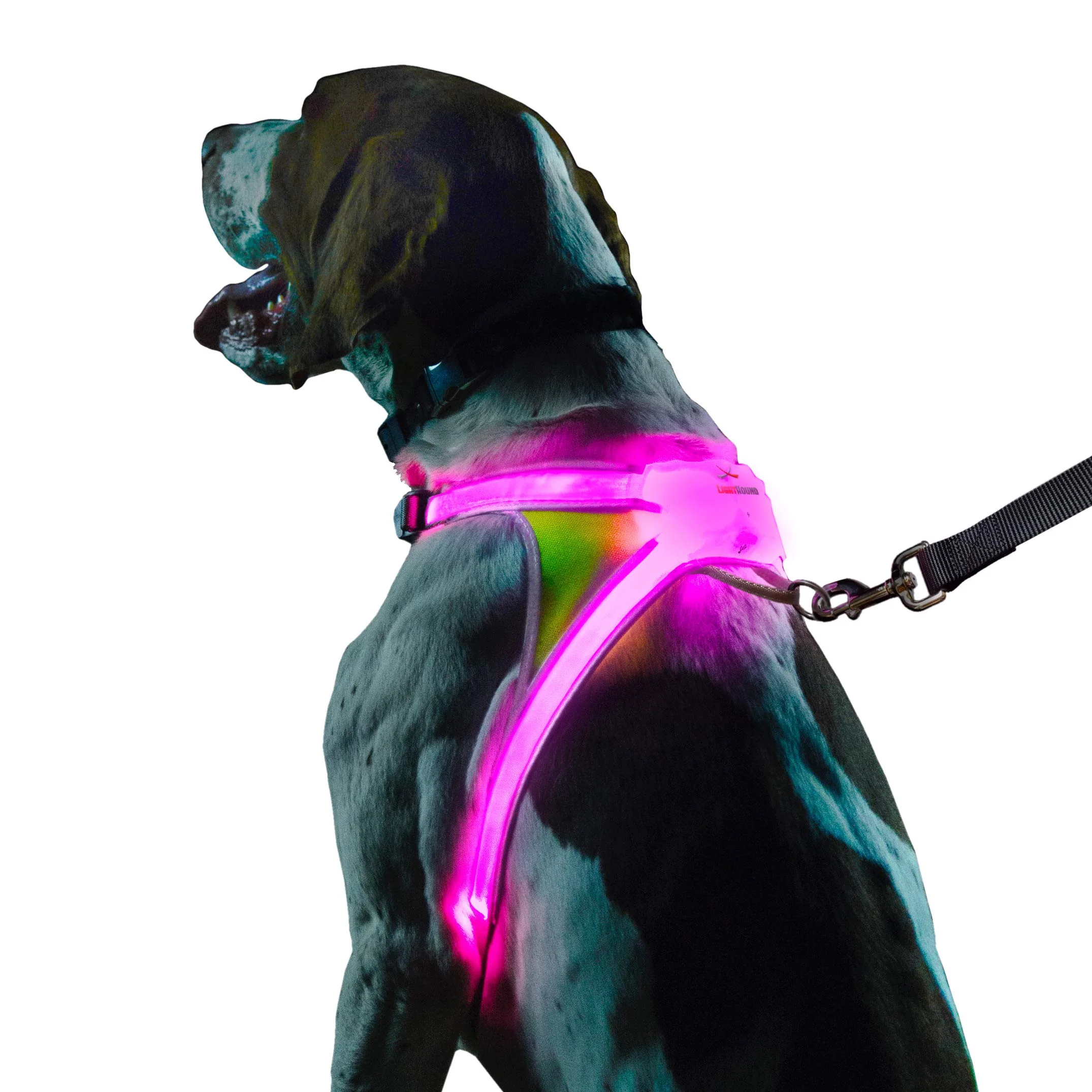 Expertly Made Noxgear LightHound – Illuminated Dog Harness with Multicolor LED Fiber Optics USB Rechargeable Adjustable Rainproof Large Prestigious