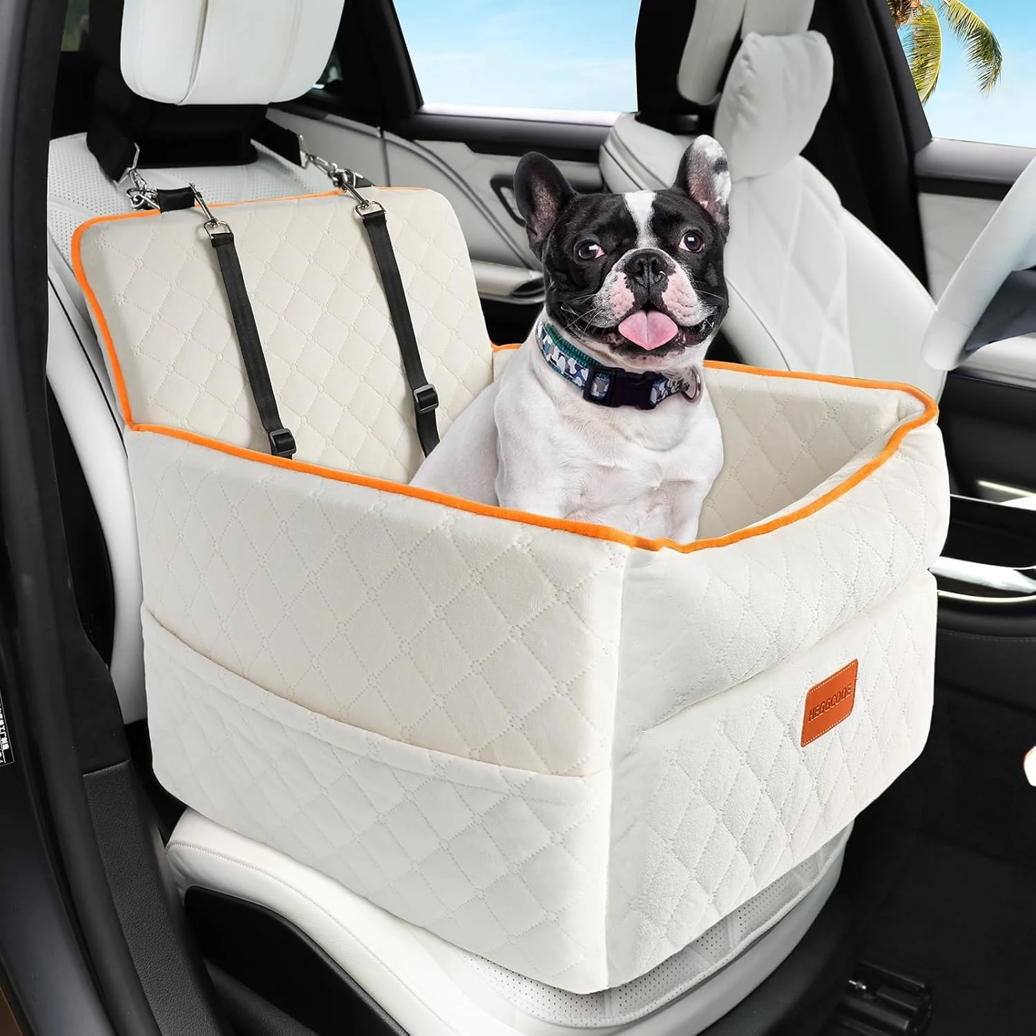 Solid HEGGCOOE Dog Car Seat for Small Medium Dogs — d Memory Foam Booster Up to 35lbs Luxury