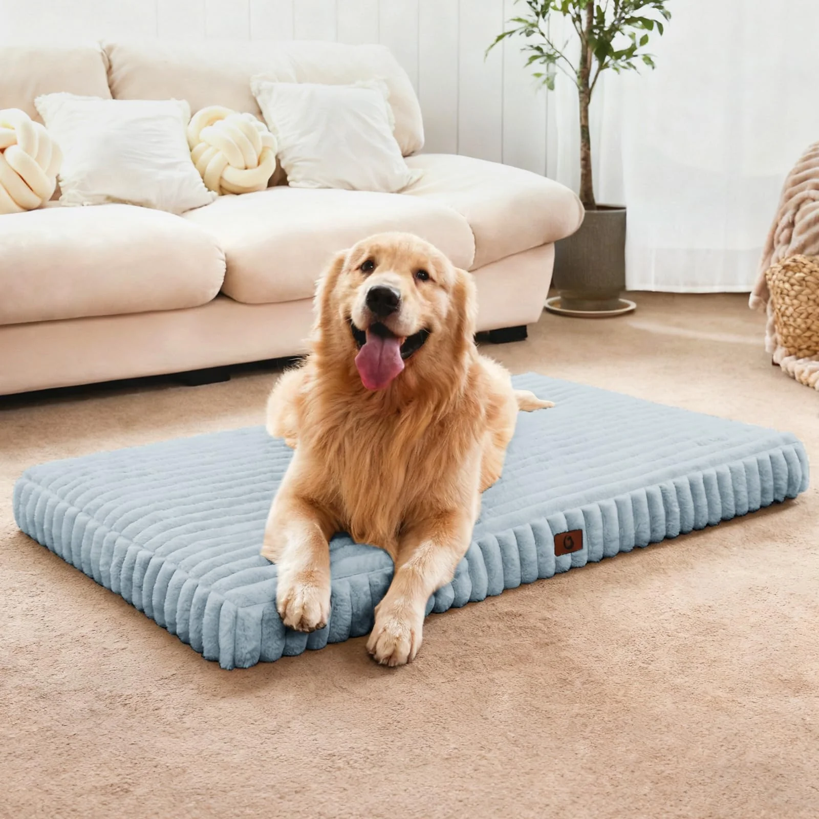 Smooth Cozila Extra Large Dog Bed – Orthopedic Foam Waterproof Liner Easy-Clean Cover Refined