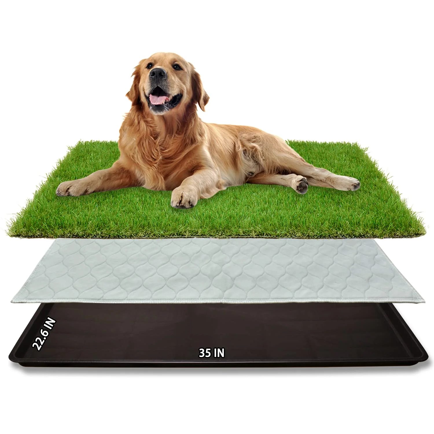 Relaxed PICK FOR LIFE Dog Grass Large Potty Patch – Indoor Outdoor Tray Potty 35×22.6 Inches Fast