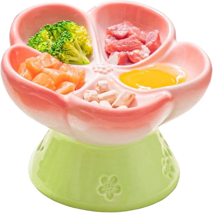 Clean Ceramic Cat Divided Bowl Flower Shaped 5 Sections – 4 Inch d Design Cute Slow Feeder Bowl Heavy Base Under-Glazed Gradient Color – Separates Dry Wet Food Veggies Fruits TreatsAbout ThisOverview Casual