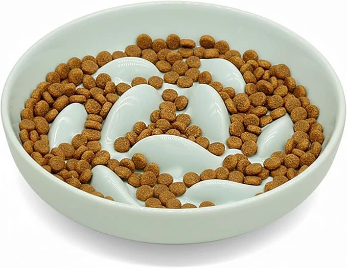 Reusable Anti-Bloat Ceramic Slow Feeder Bowl – Fish Pool Design Interactive Puzzle Feeder for Cats Small Dogs Food-Safe Porcelain Healthy Eating Dish Green-Ceramic About ThisOverview Breathable
