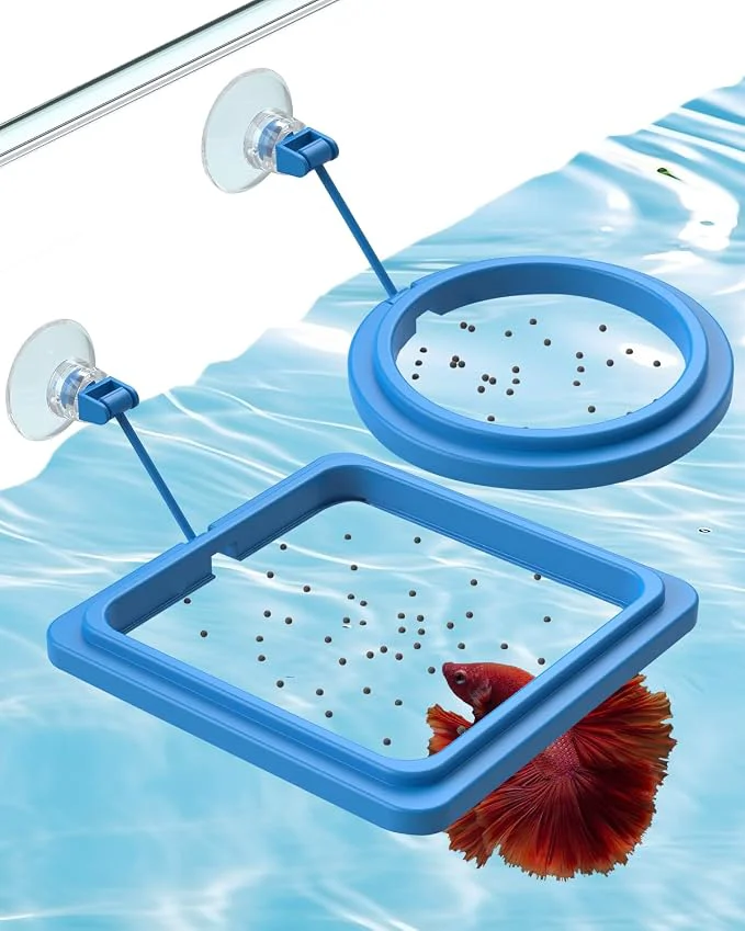 Minimalist Pawfly 2 Pcs Fish Feeding Ring for Aquarium – Round and Square Floating Food Easy-to-Use