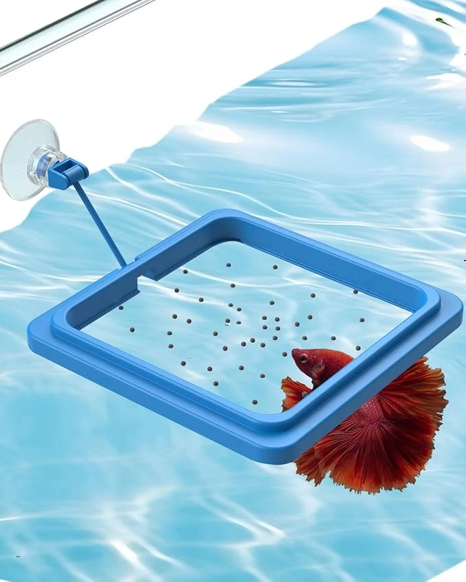 Traditional Pawfly Fish Feeding Ring for Fish Tank Aquarium Feeding Ring High-Grade
