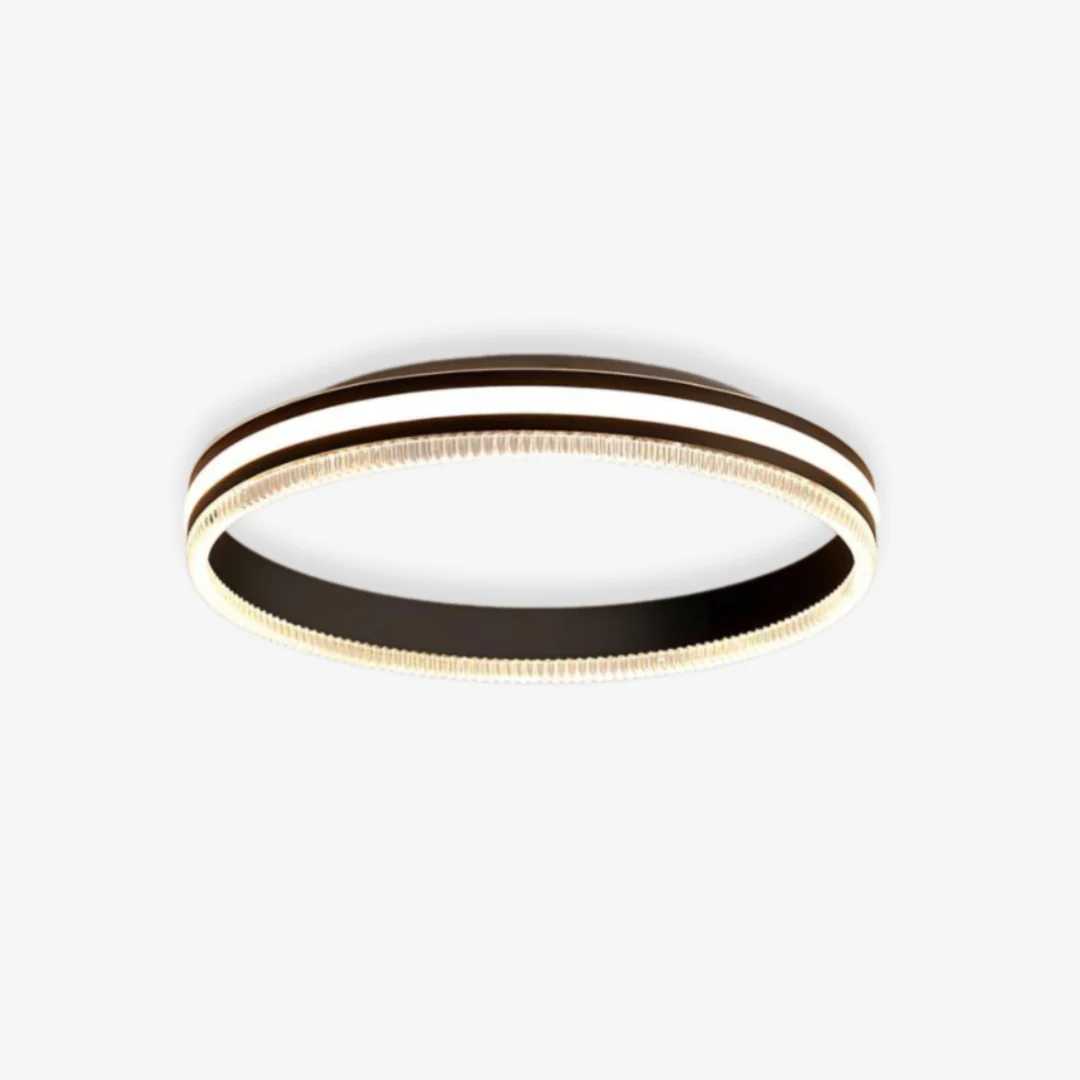 Exclusive Eenvoudige ringplafondlamp Environmentally Friendly