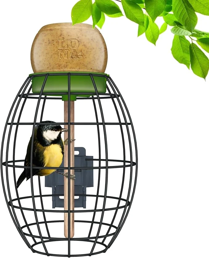 First-Class LONA Squirrel Proof Bird Feeding Cage Carefully Designed
