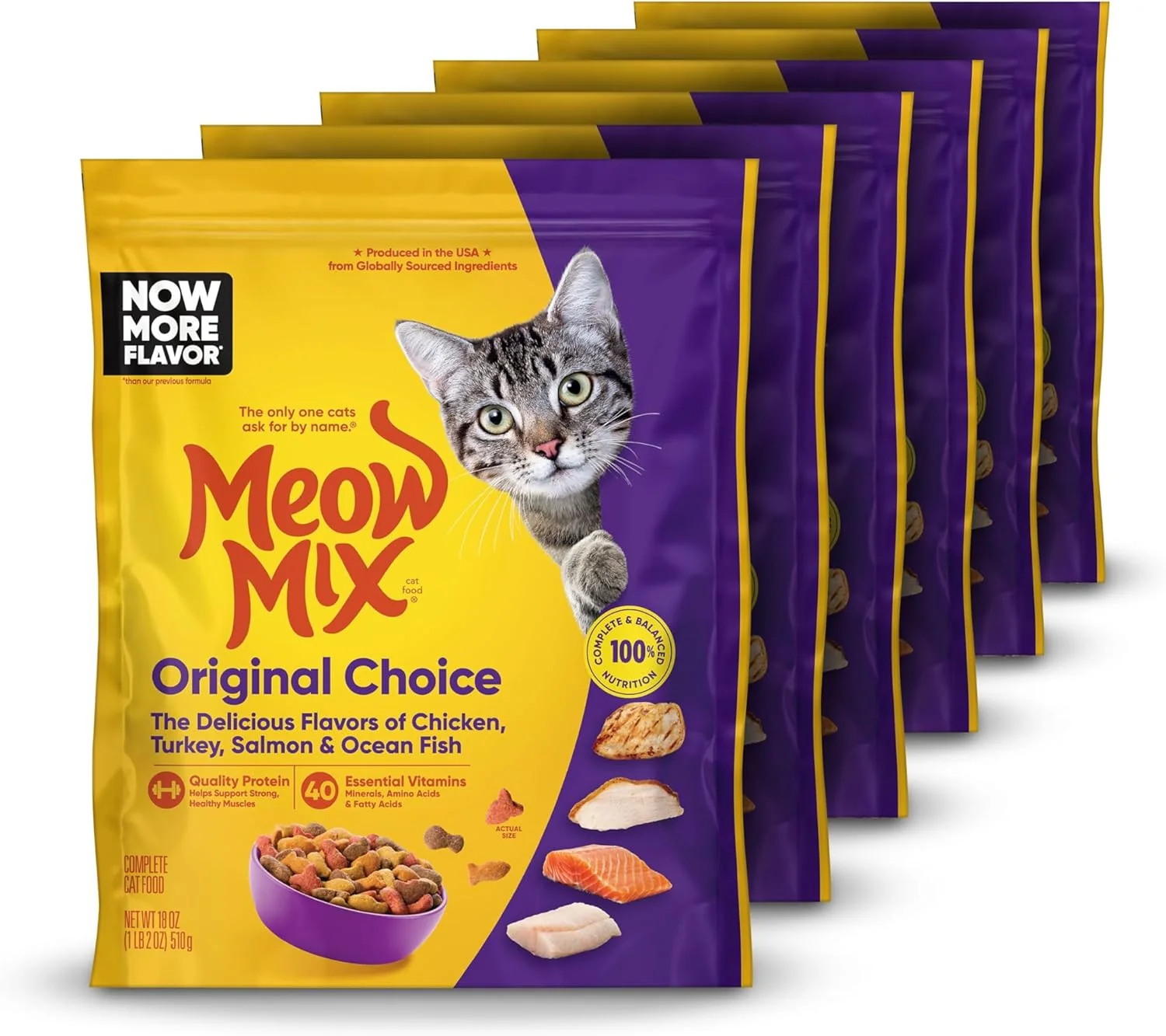 Reliable Meow Mix Choice Dry Cat Food 18 Ounce Pack of 6 Sophisticated