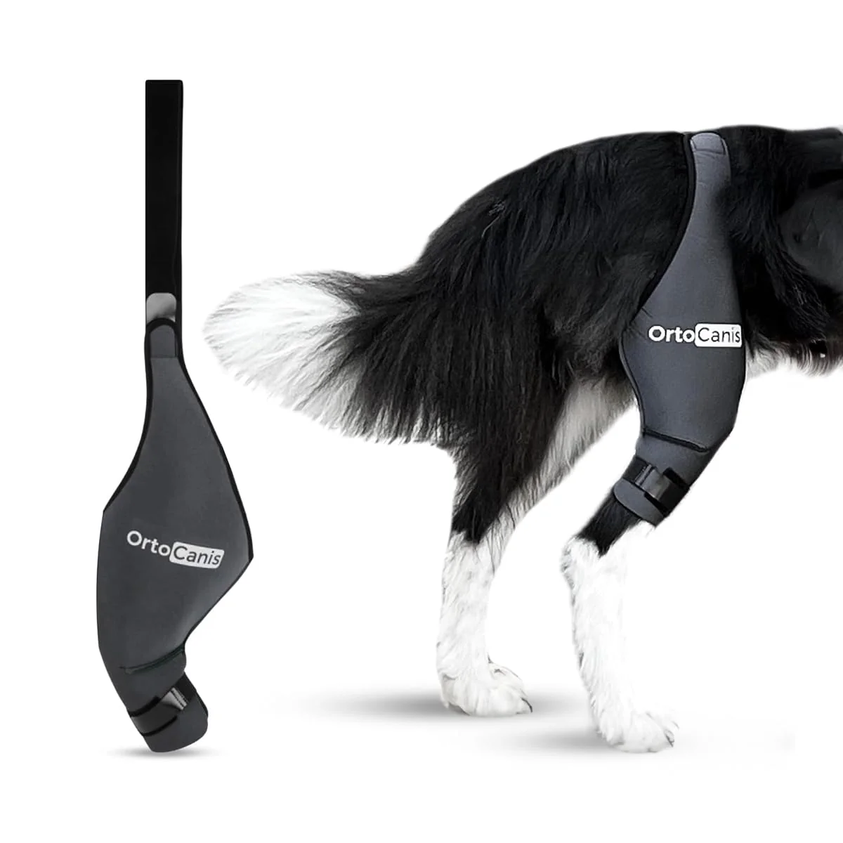 Expertly Made Ortocanis Dog Knee Brace – Left Hind Leg ARD Neoprene Size XS Comfortable