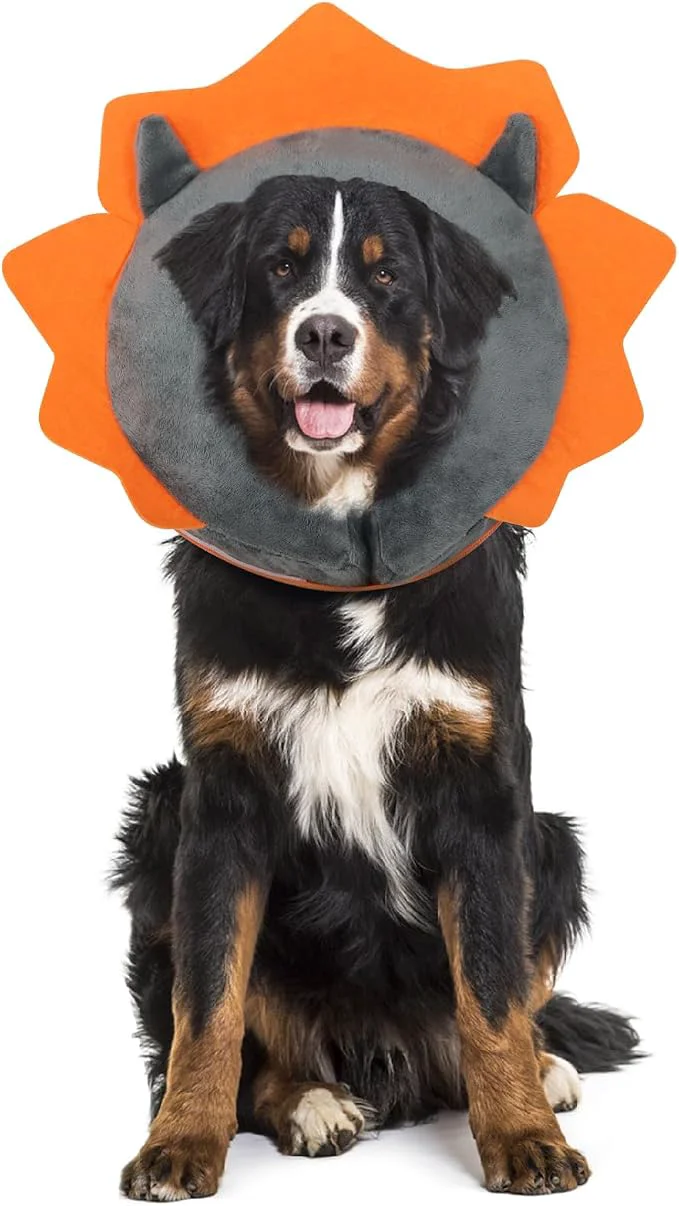Reliable IEUUMLER Inflatable Recovery Dog Collar Protective Donut Cone Adjustable Soft Artisan