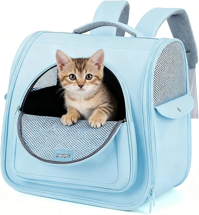 Next-Generation Cat Carrier Backpack Large Space Animal Carrier Backpacks Green