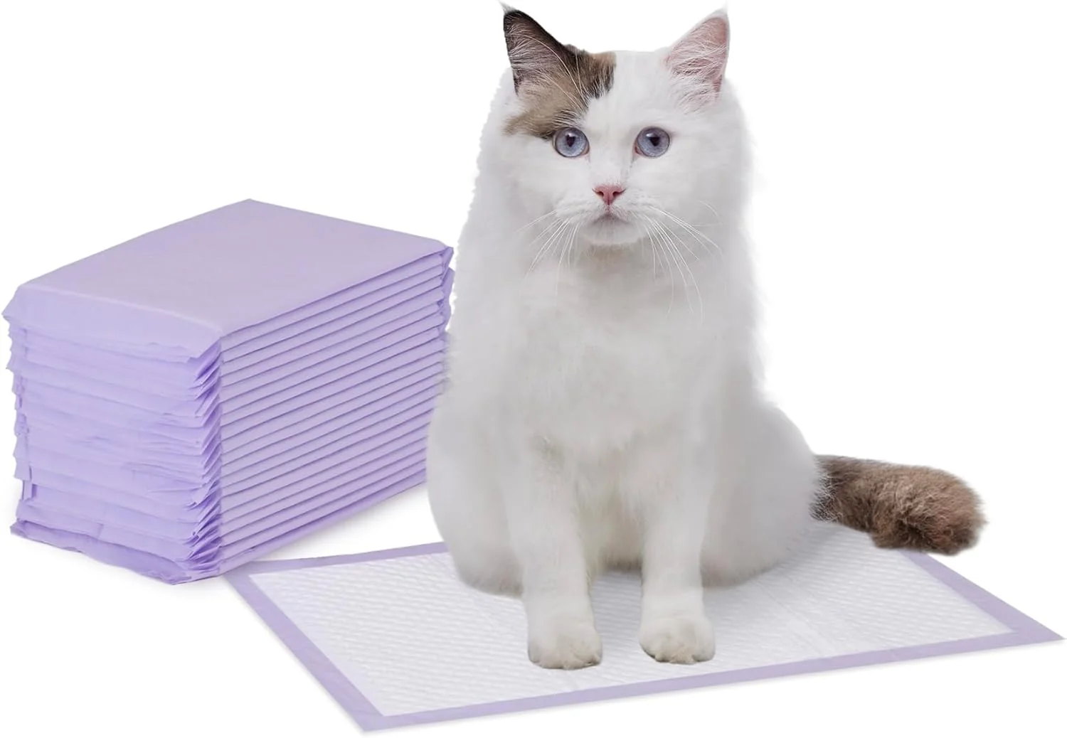 Proven Amazon Basics Cat Litter Pee Pads 20 Count Universal Fit for Litter Box Odor Control with Fresh Scent Purple Elegant