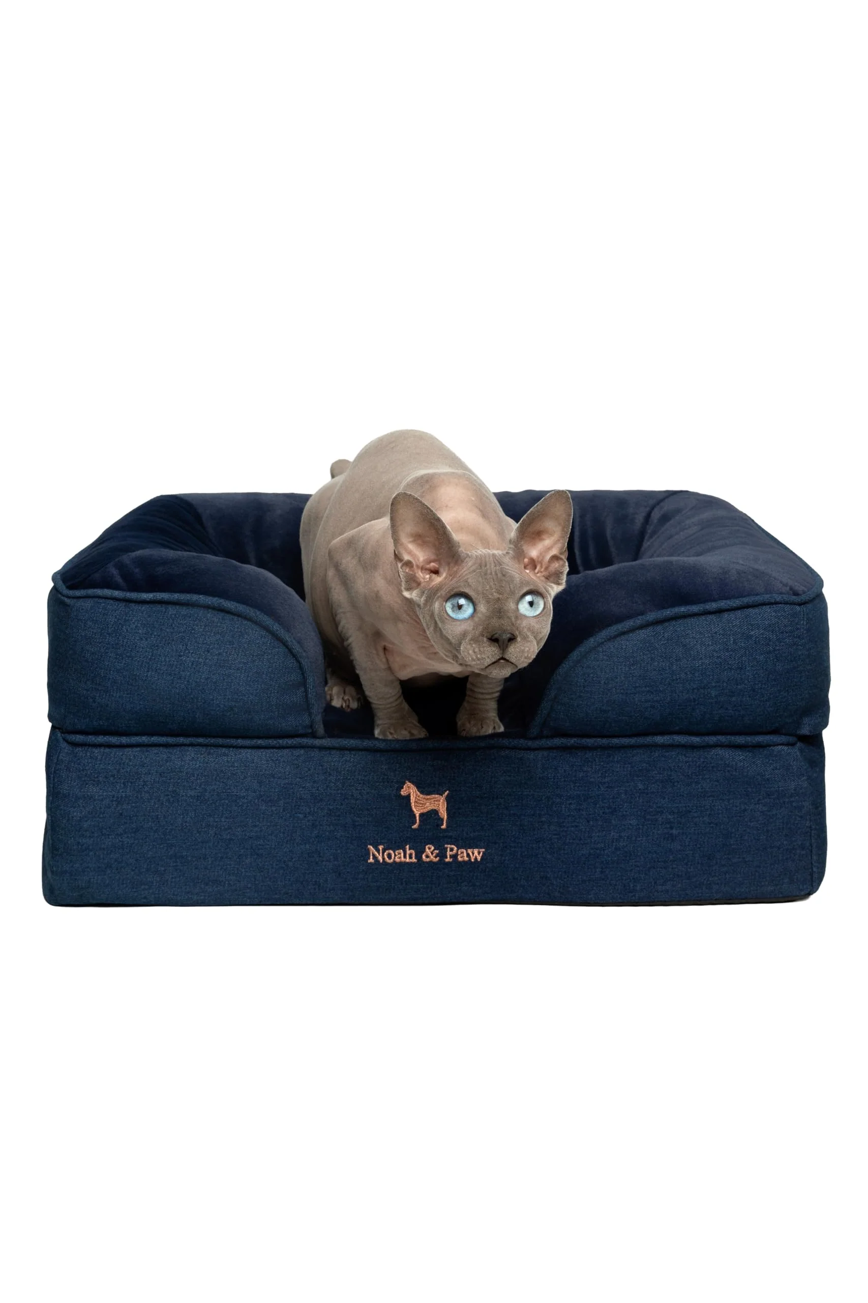 Modern NOAH PAW Small Dog Bed – Orthopedic Memory Foam with Cooling Gel Denim Collection Powerful