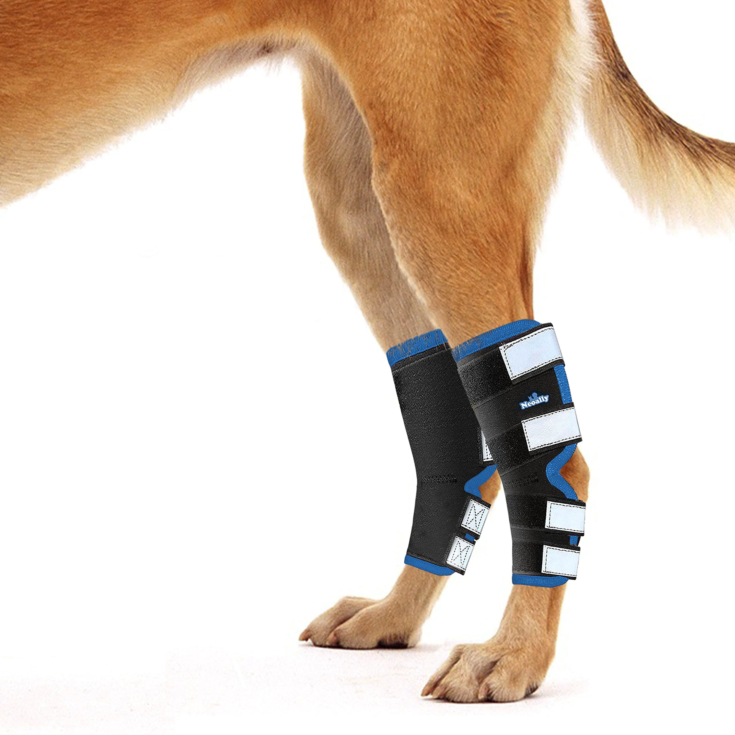 Original NeoAlly Dog Leg Brace Long Version – Hind Hock Support with Reflective Straps Blue XS Fine Crafted