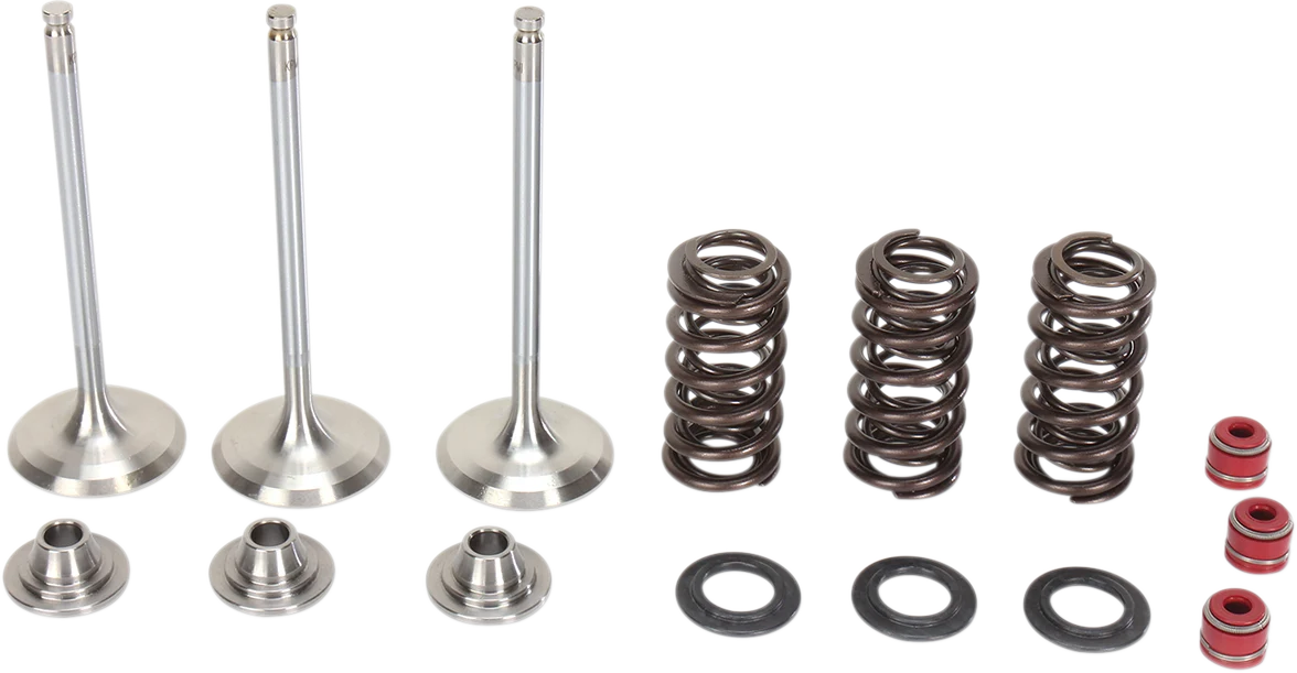 Original MOOSE RACING Intake Valve Kit M80-80950 Official