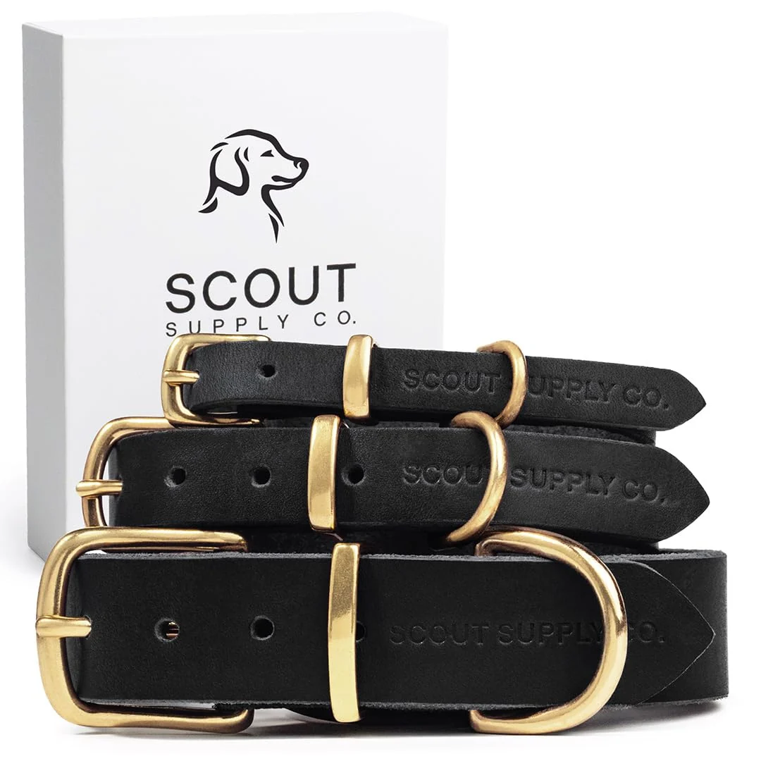 Artisan Scout Supply Co. Classic Leather Dog Collar – Heavy-Duty Waterproof 1.2 Wide XL 18.5-21 Neck High-End